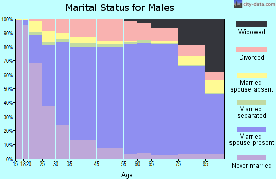 Webster County marital status for males