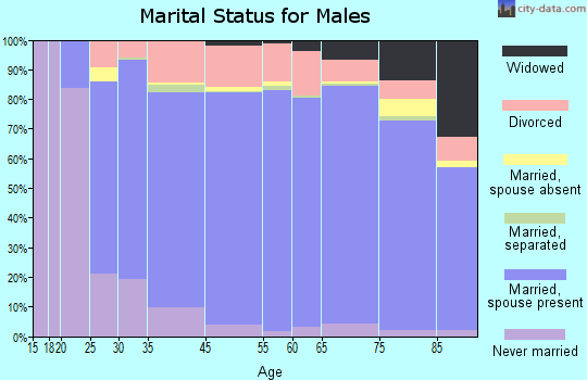 Worth County marital status for males