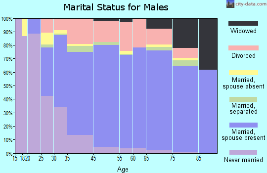 Wright County marital status for males