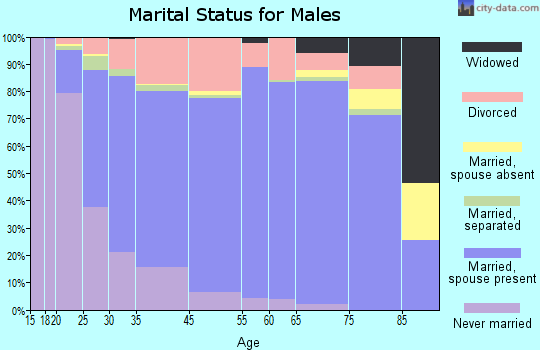 Hunt County marital status for males