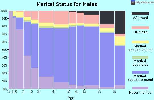 Polk County marital status for males