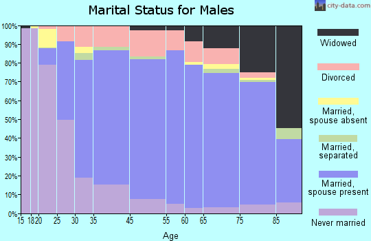 Southeast Fairbanks Census Area marital status for males