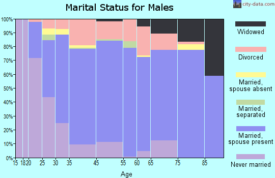 Jasper County marital status for males