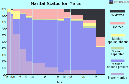 Jim Hogg County marital status for males