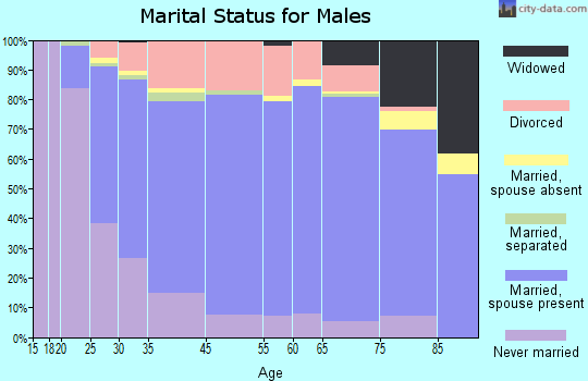 Jim Wells County marital status for males