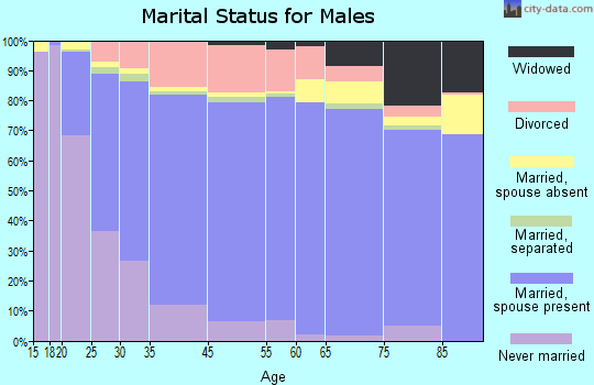 Kaufman County marital status for males