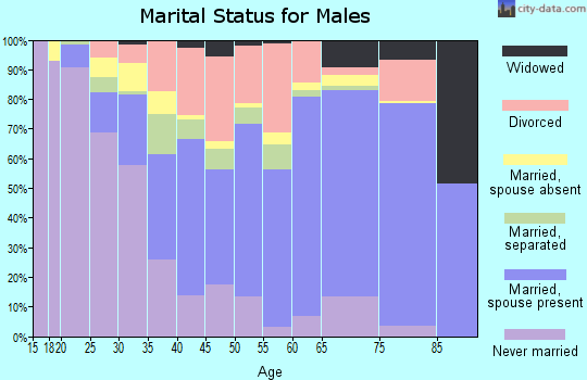 Bibb County marital status for males
