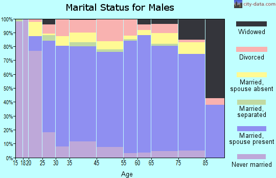 Wade Hampton Census Area marital status for males