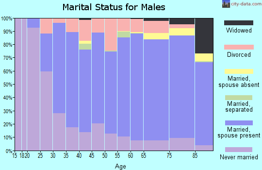 Lac qui Parle County marital status for males
