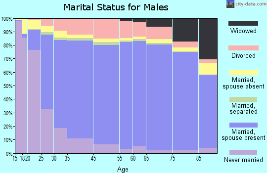 Calhoun County marital status for males