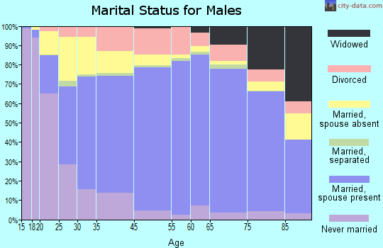 Kleberg County marital status for males