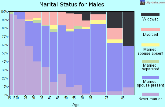 Gasconade County marital status for males