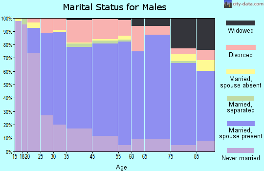 Lamar County marital status for males