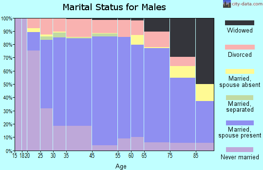 Lamb County marital status for males
