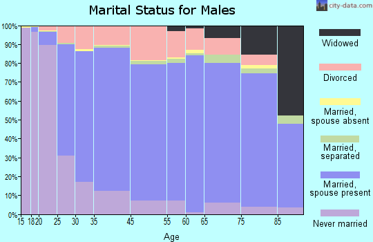 Towns County marital status for males