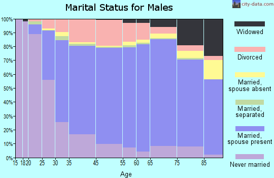 Leon County marital status for males