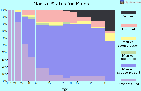 Warren County marital status for males