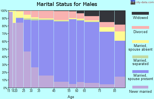 Webster County marital status for males