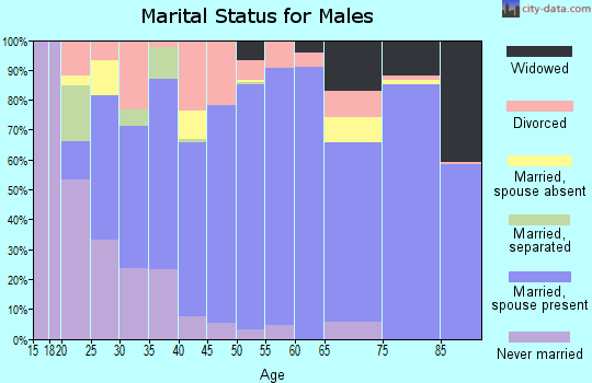 Lamar County marital status for males