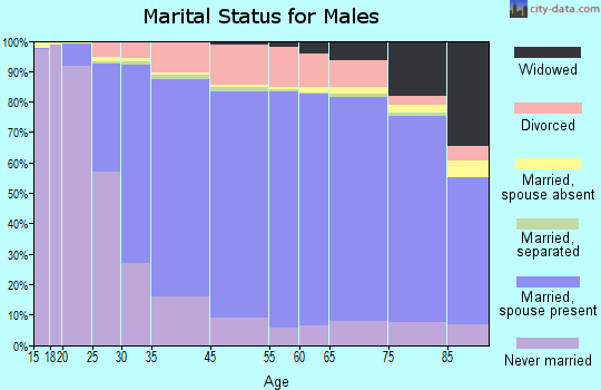 Brown County marital status for males