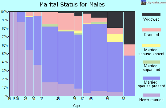 White County marital status for males