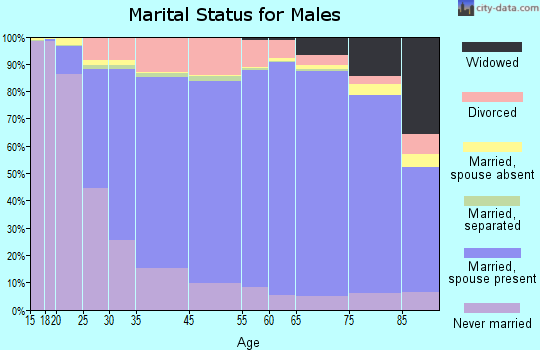 Worth County marital status for males