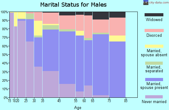 Menard County marital status for males