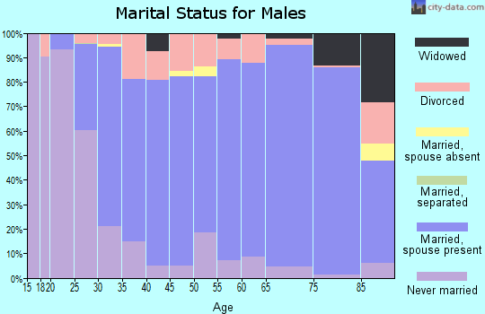 Grundy County marital status for males