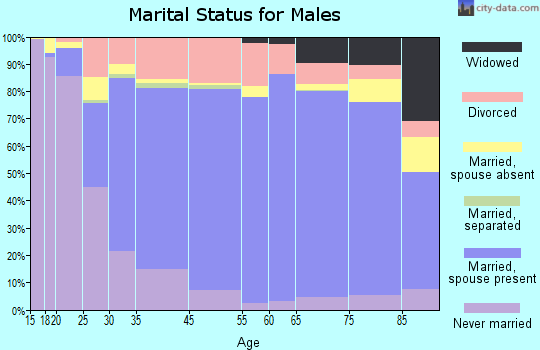 Mitchell County marital status for males