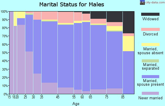 Morris County marital status for males