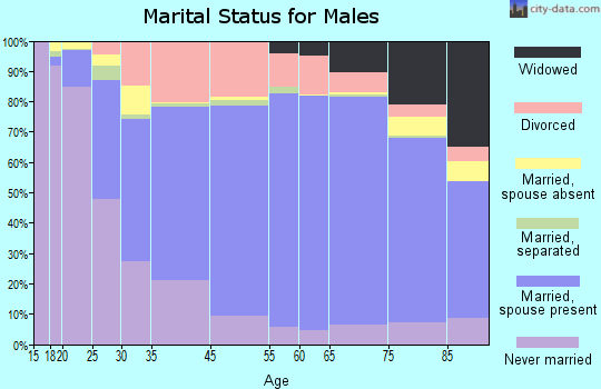 Palo Pinto County marital status for males