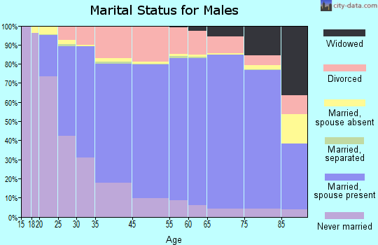 Potter County marital status for males
