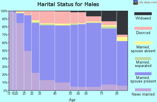 Rains County marital status for males