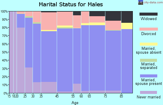 San Jacinto County marital status for males