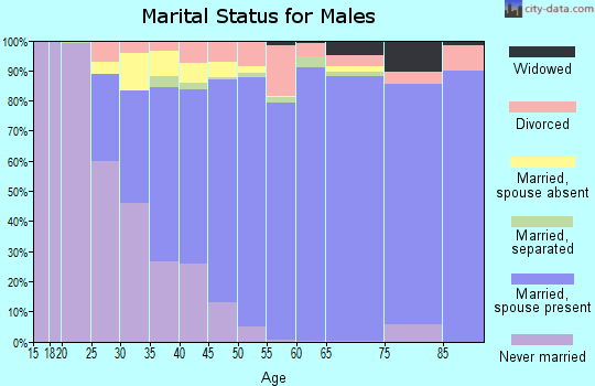 Goochland County marital status for males