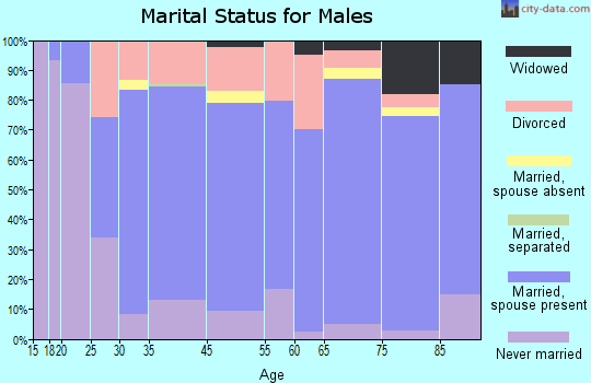 Shelby County marital status for males
