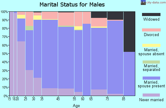 Smith County marital status for males