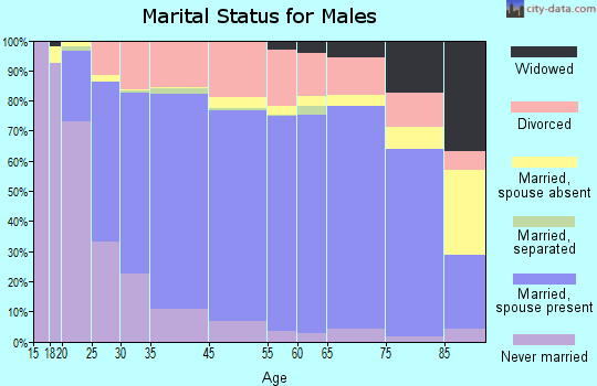 Somervell County marital status for males