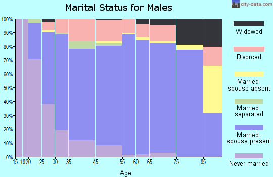Starr County marital status for males