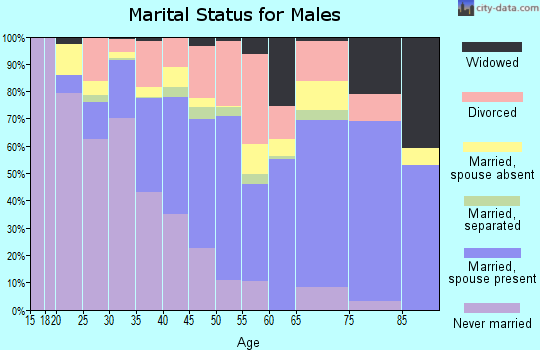 Bradford County marital status for males