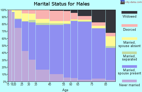 Baraga County marital status for males