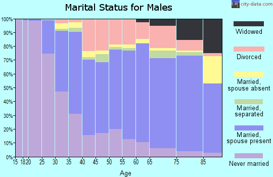 Otsego County marital status for males