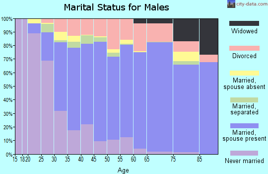 Huron County marital status for males