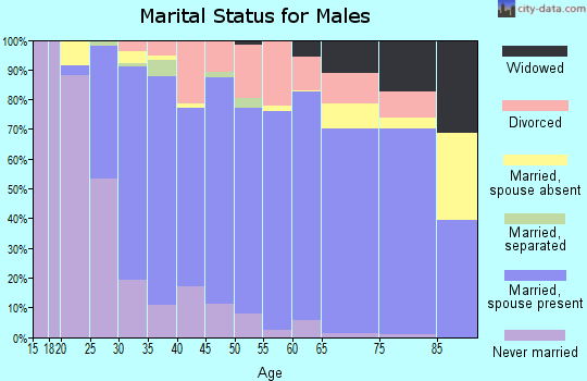 Clay County marital status for males