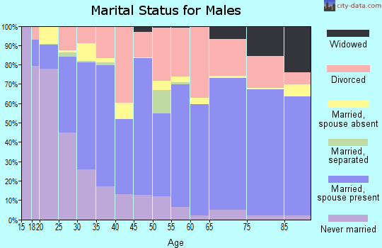 Shoshone County marital status for males