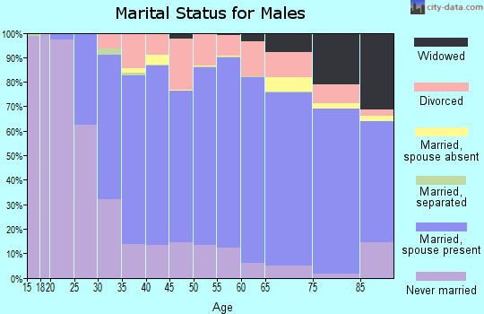 Le Sueur County marital status for males