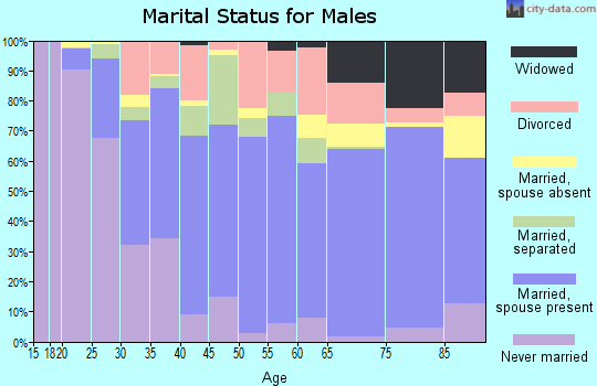 Leake County marital status for males