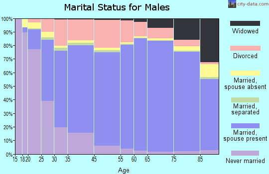 Chautauqua County marital status for males