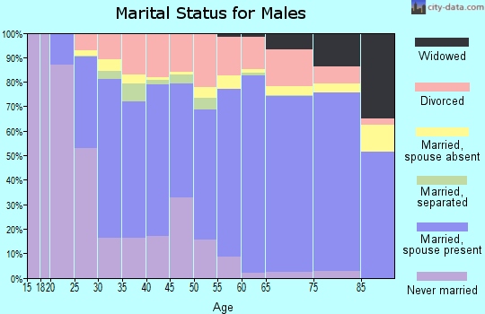 Appanoose County marital status for males
