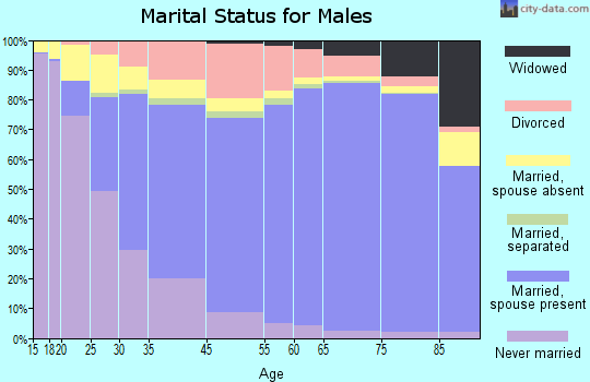 Burke County marital status for males